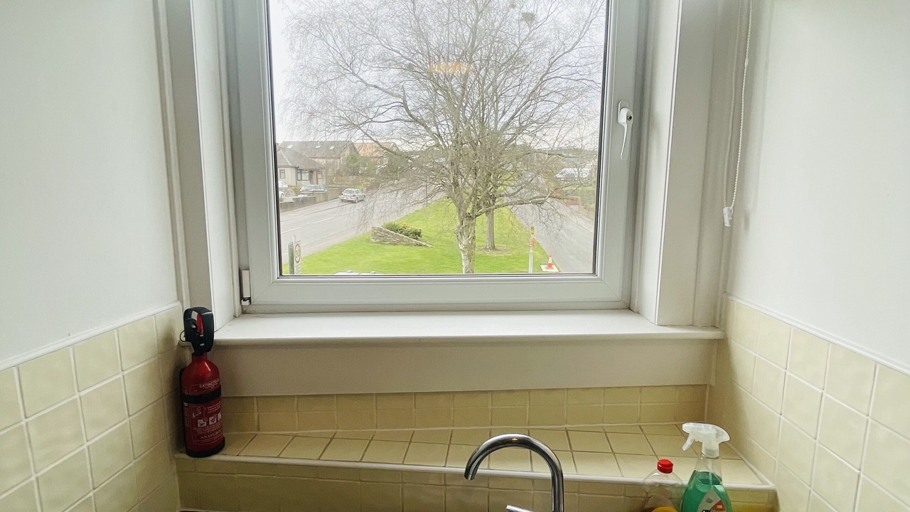 Photo of Others in Kelty