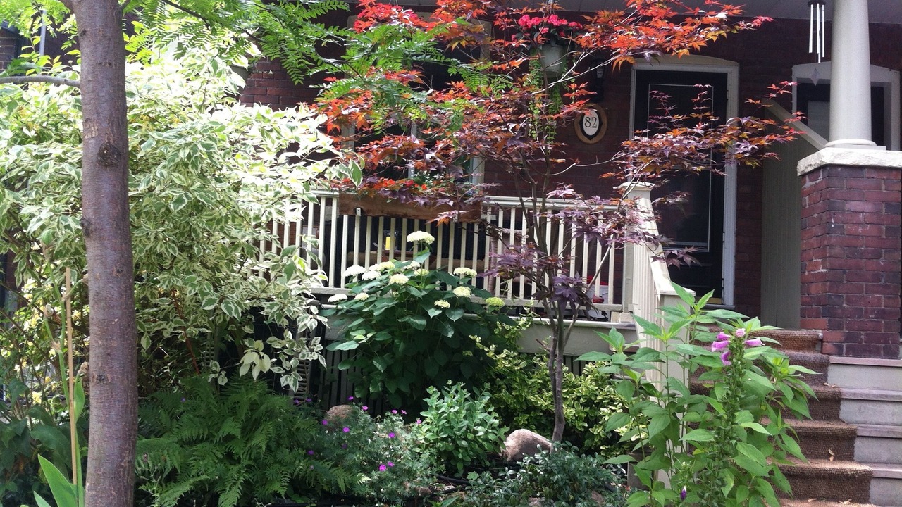 Photo of Outdoor in Blake - Jones