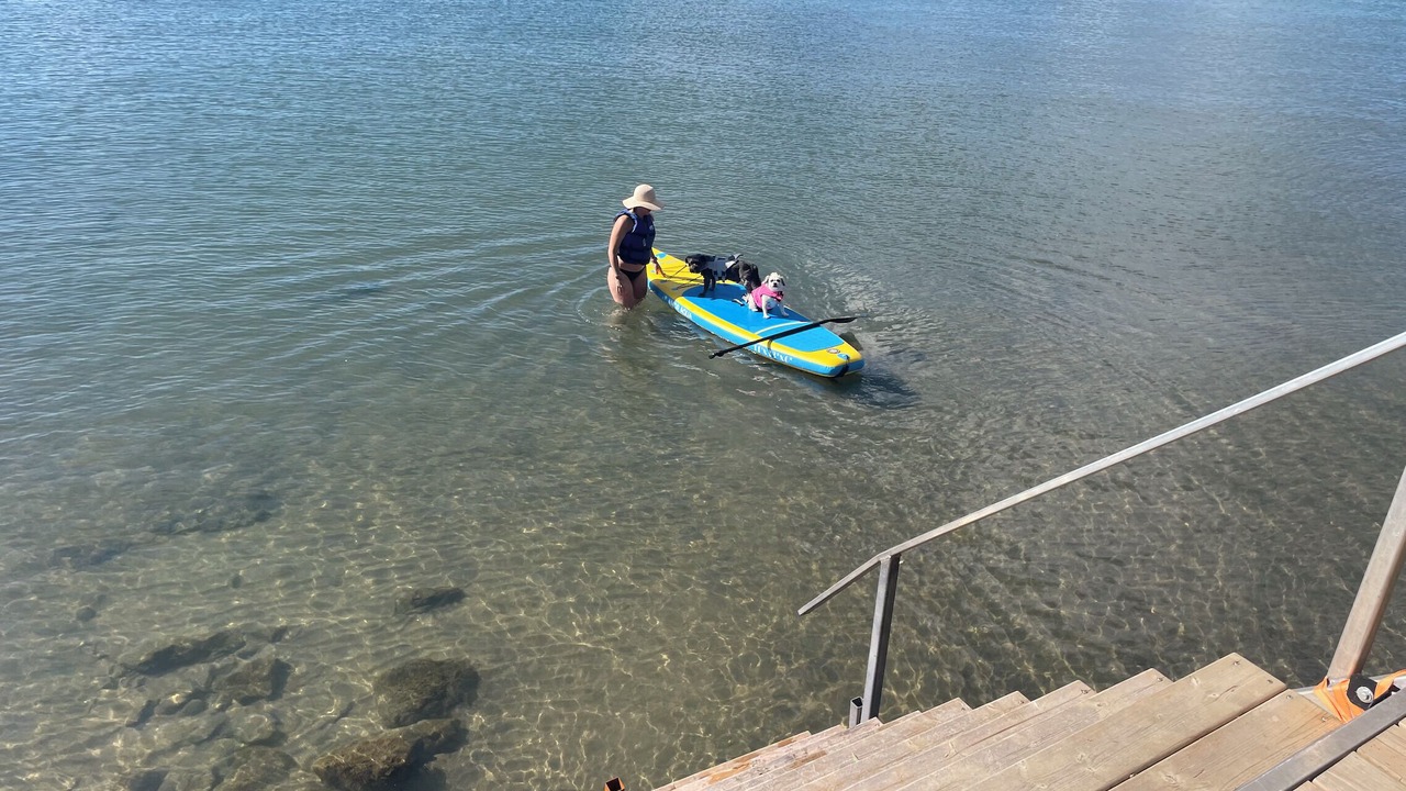 Photo of Others in Hamilton
