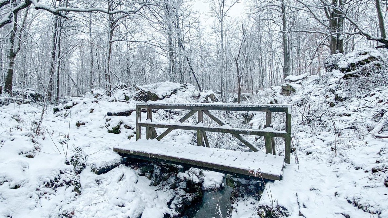 Photo of Others in Beamsville