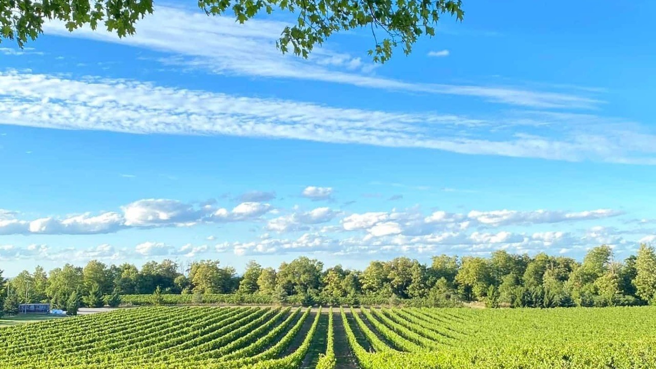 Photo of Outdoor in Beamsville