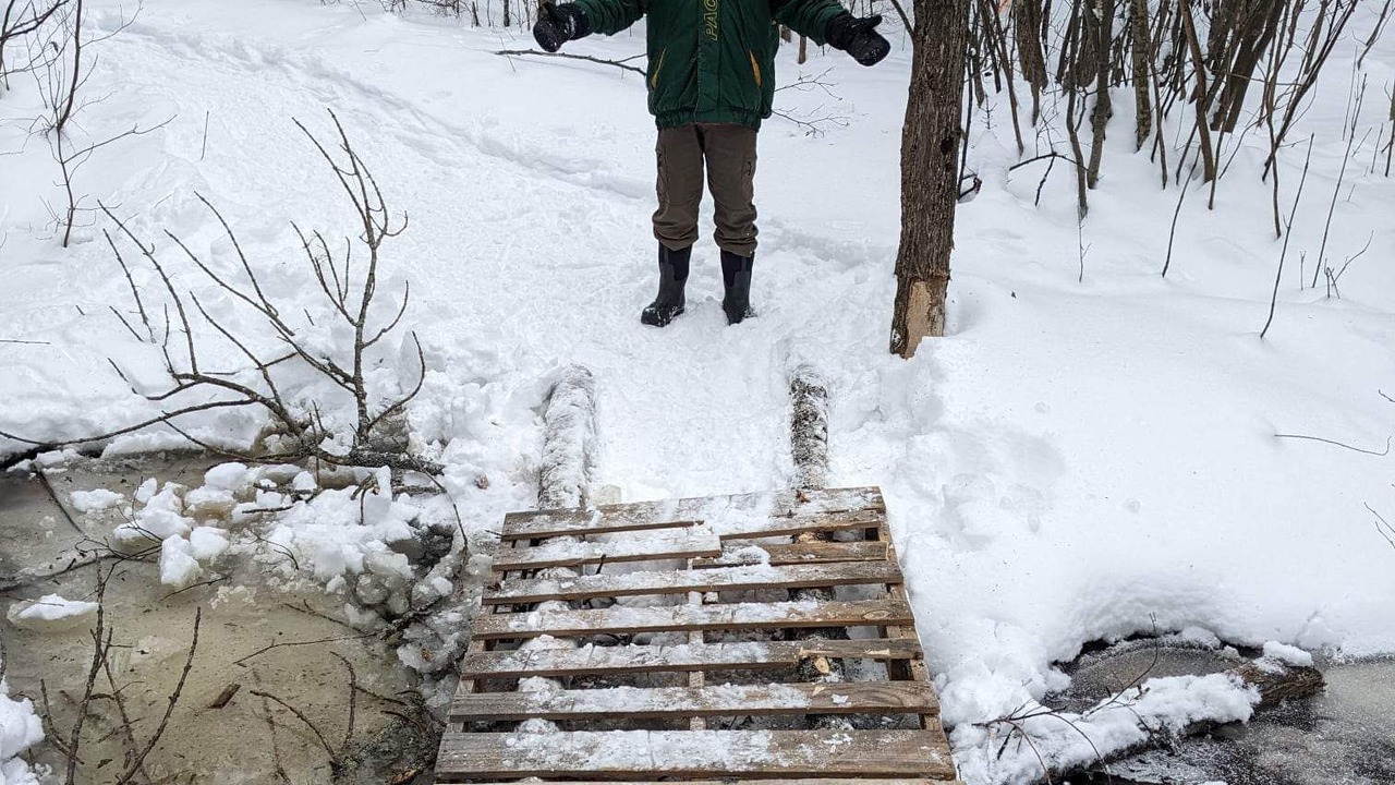 Photo of Outdoor in Searchmont