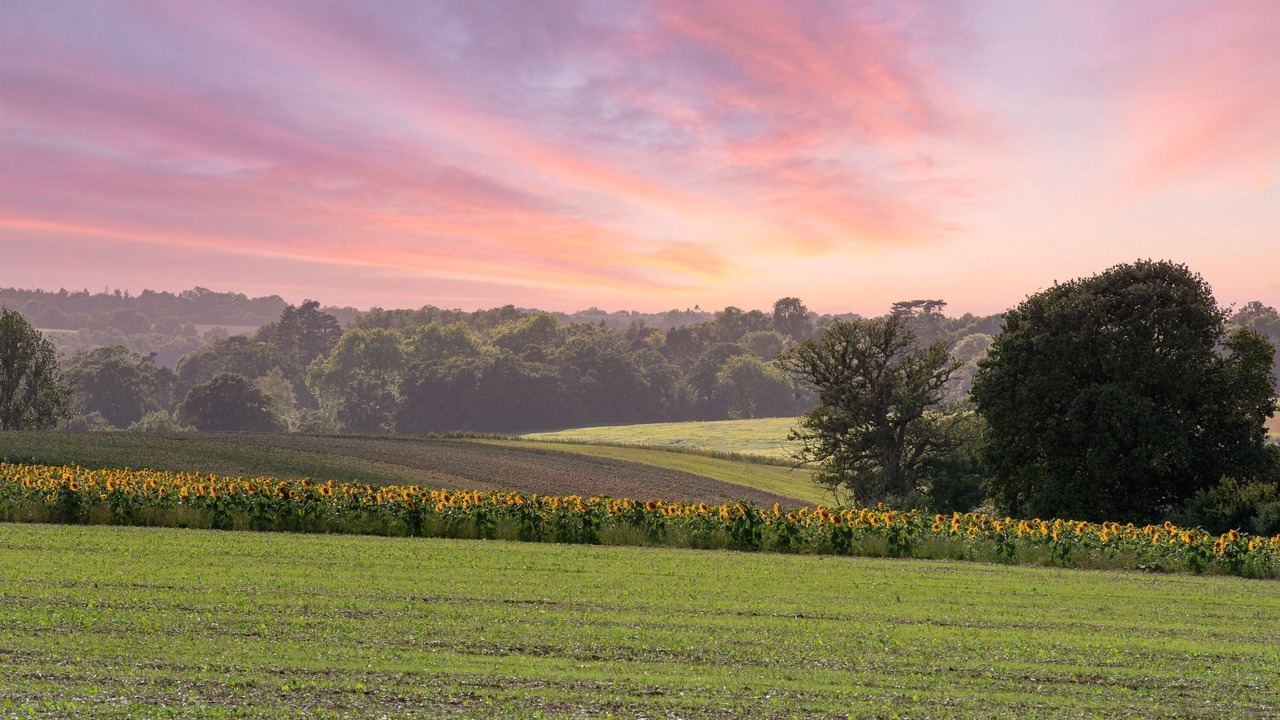Photo of Outdoor in Halstead