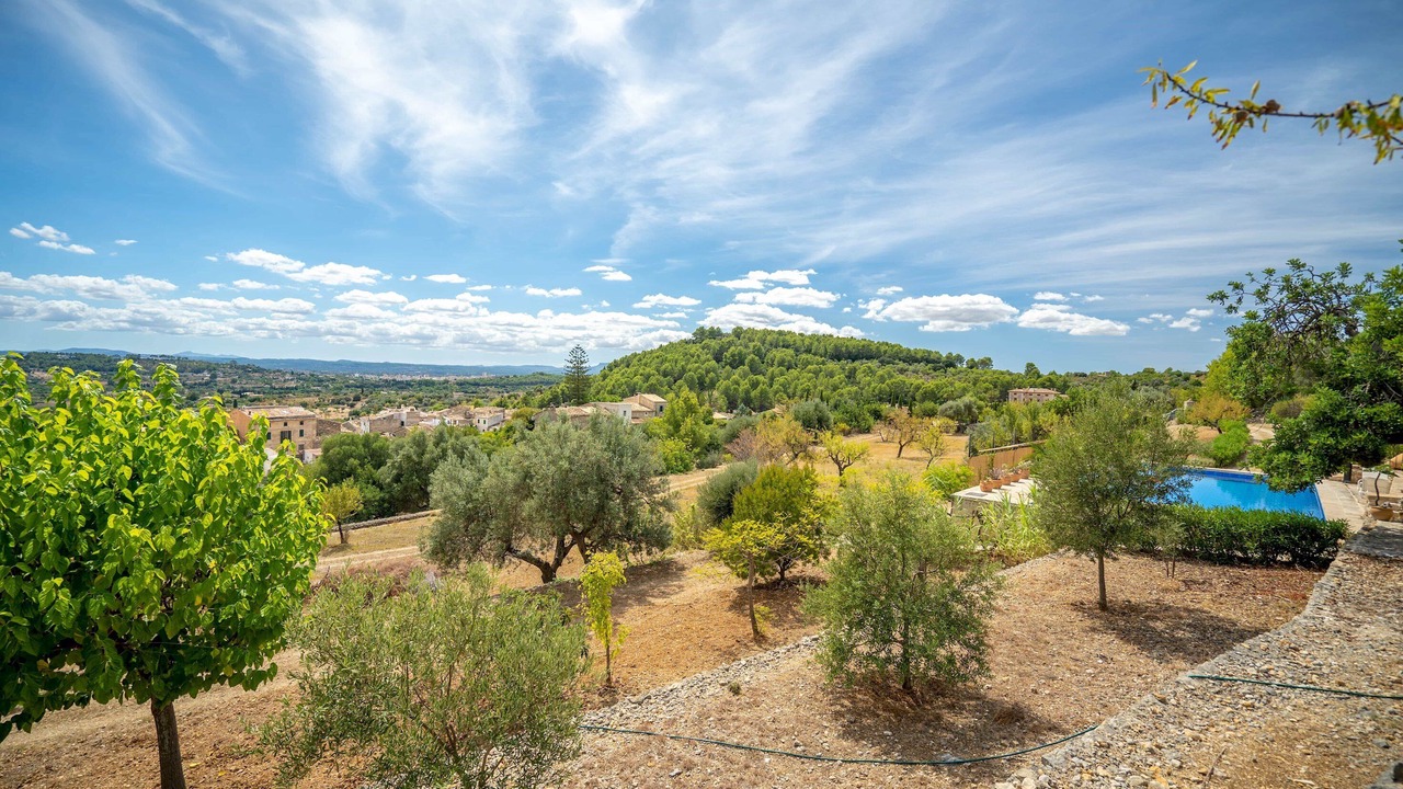 Photo of Outdoor in Selva