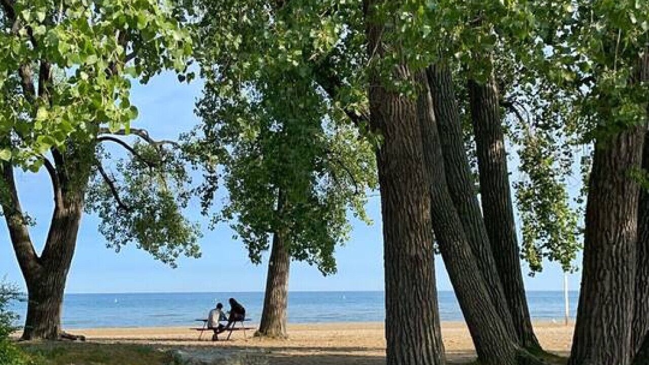 Photo of Others in Port Dalhousie
