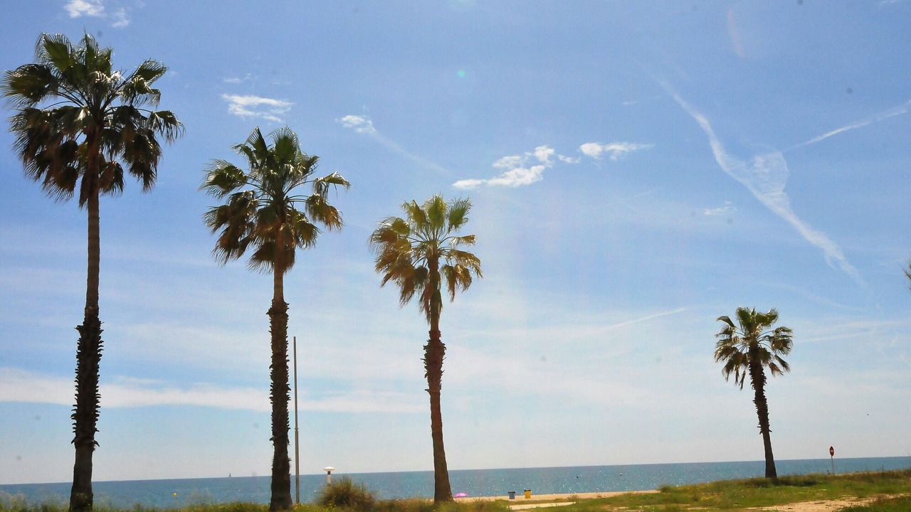 Photo of Outdoor in Pineda de Mar