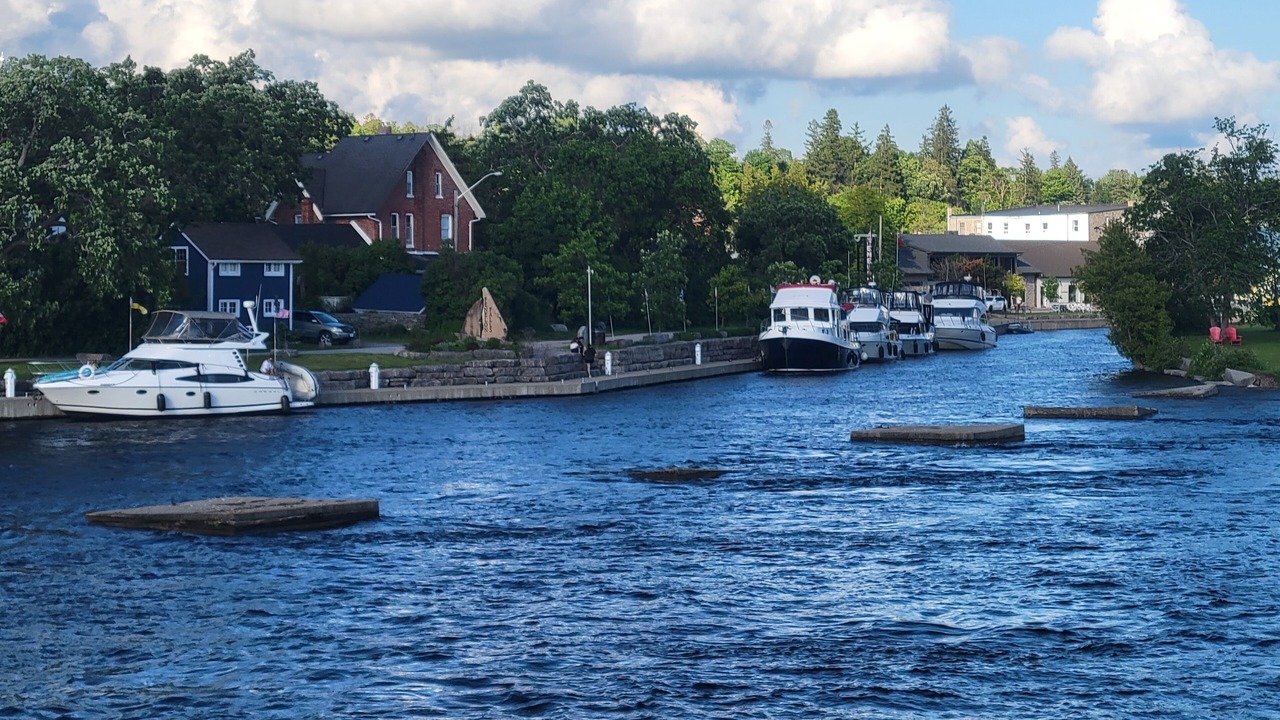 Photo of Others in Fenelon Falls