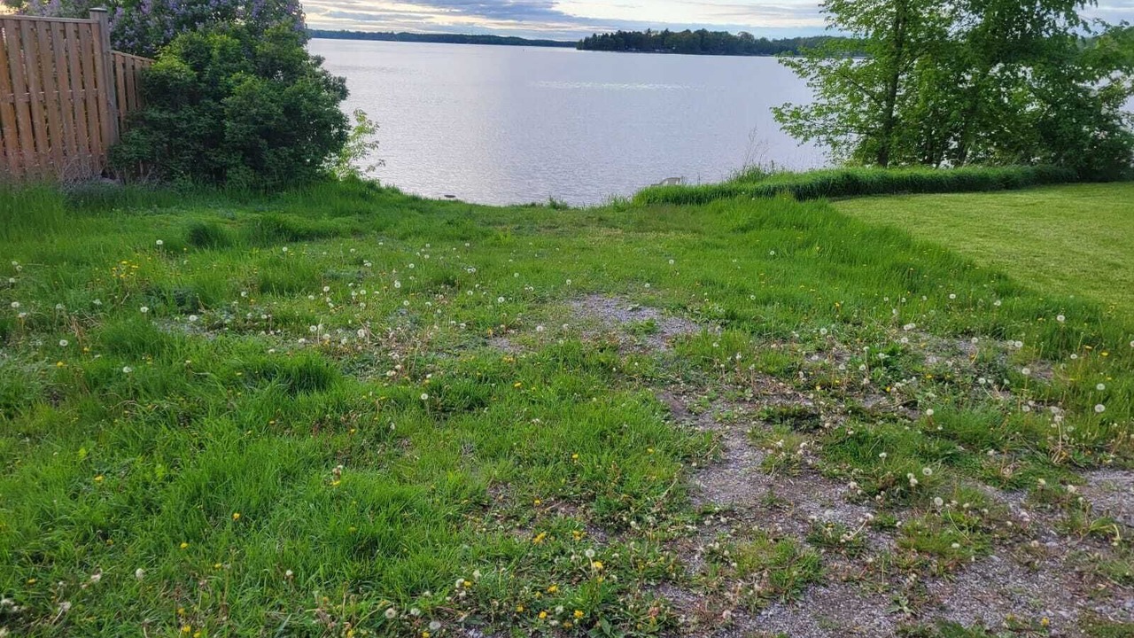 Photo of Outdoor in Fenelon Falls