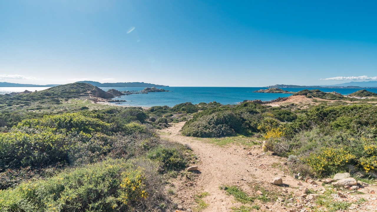 Photo of Others in La Maddalena