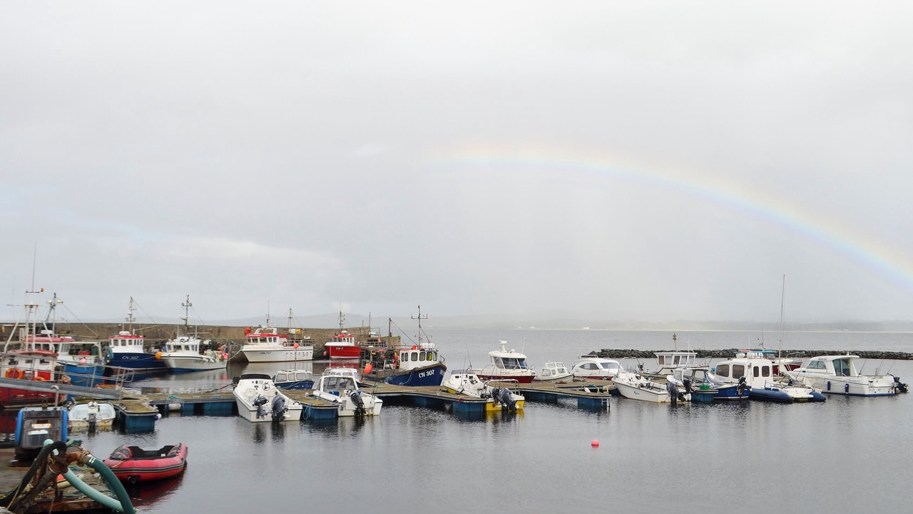 Photo of Others in Bowmore