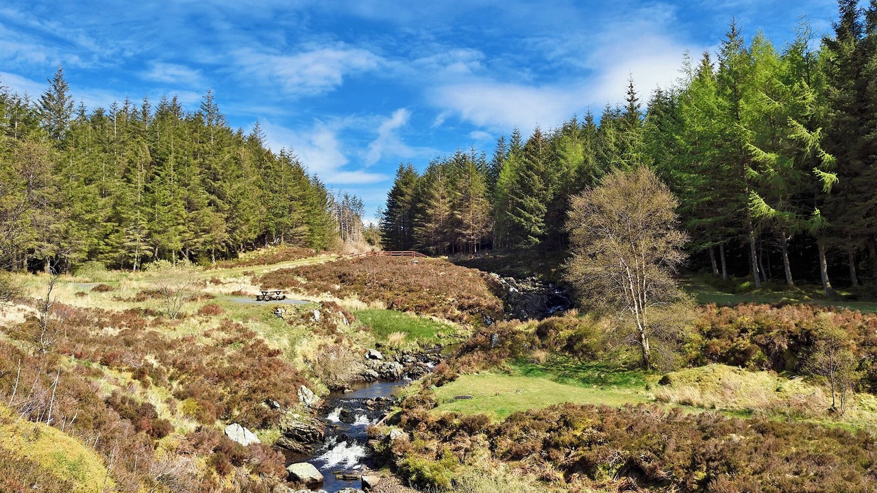 Photo of Others in New Galloway