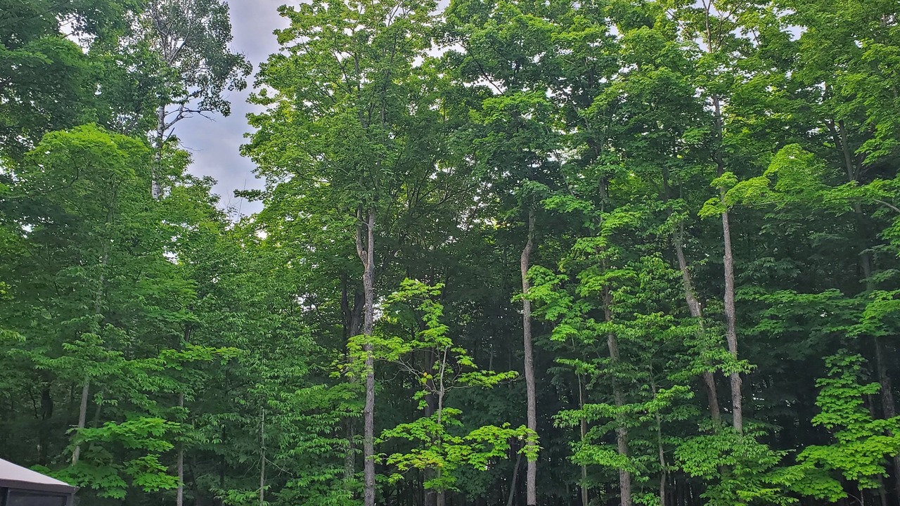 Photo of Outdoor in Huntsville