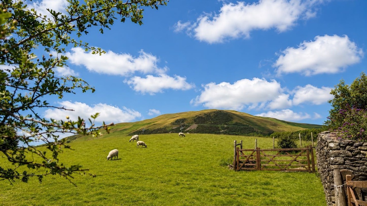 Photo of Others in Sedbergh