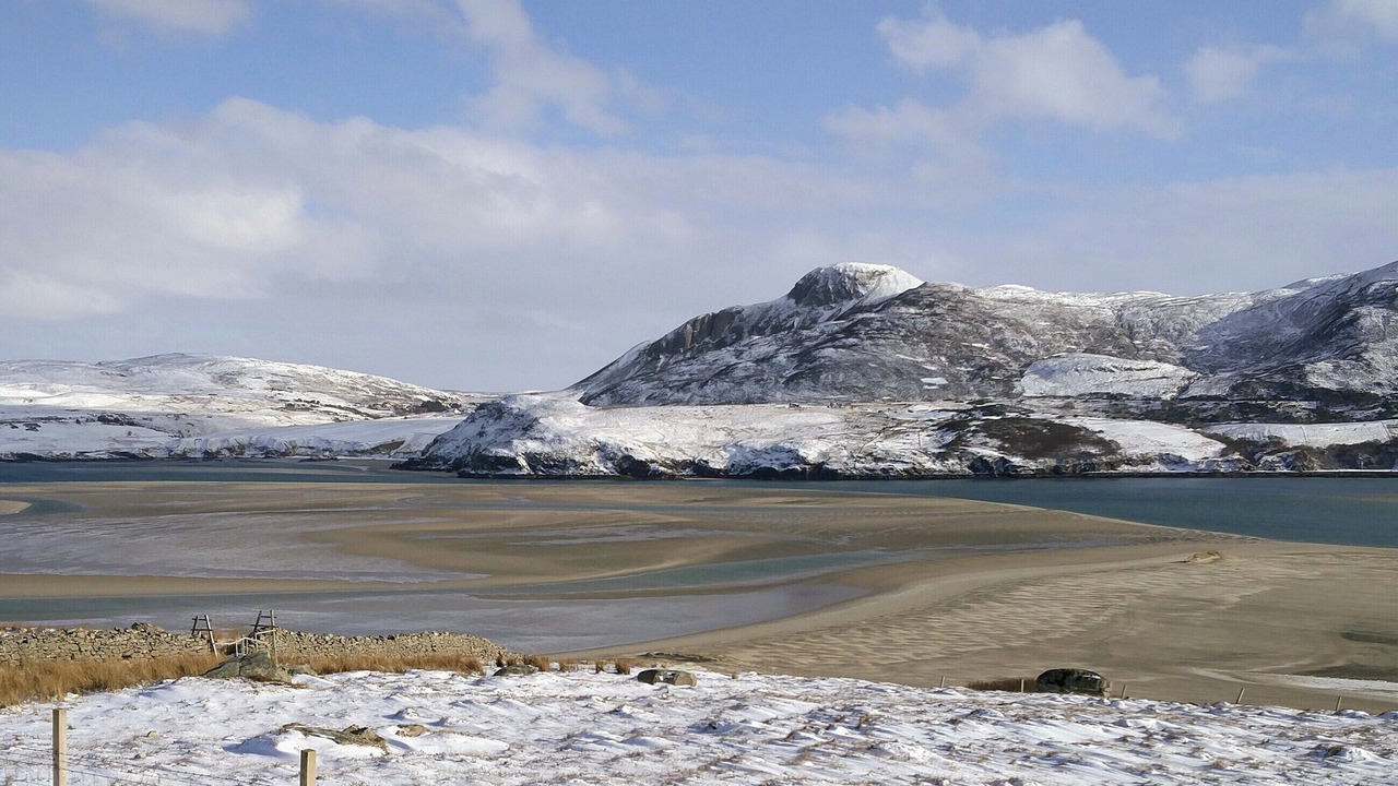 Photo of Others in Talmine
