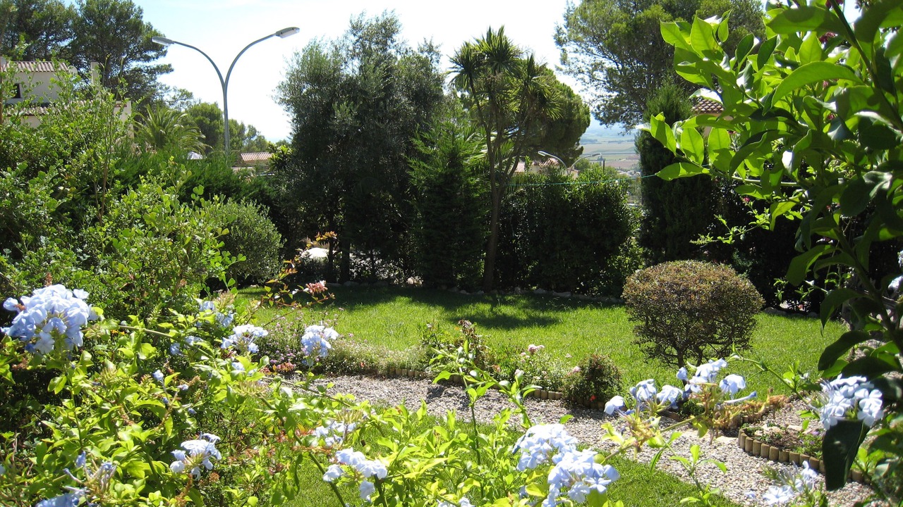 Photo of Outdoor in La Torre Vella