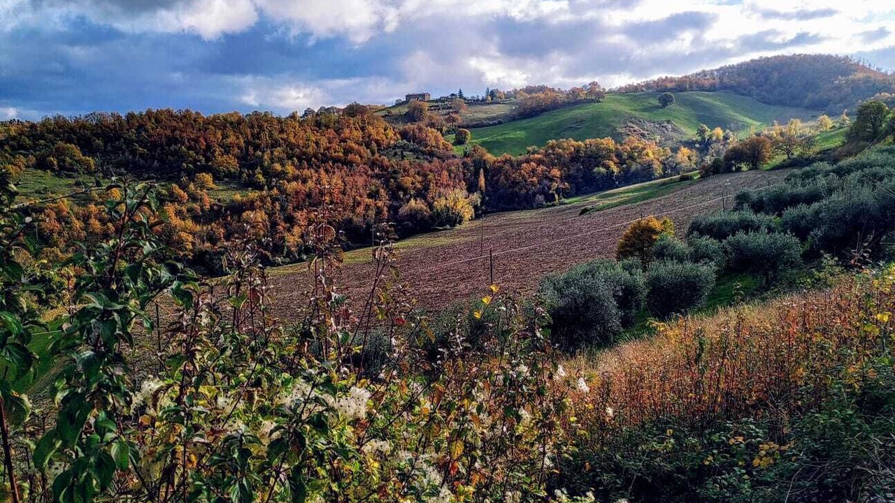 Photo of Outdoor in Mengara