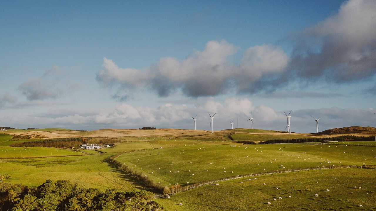 Photo of Others in Portpatrick