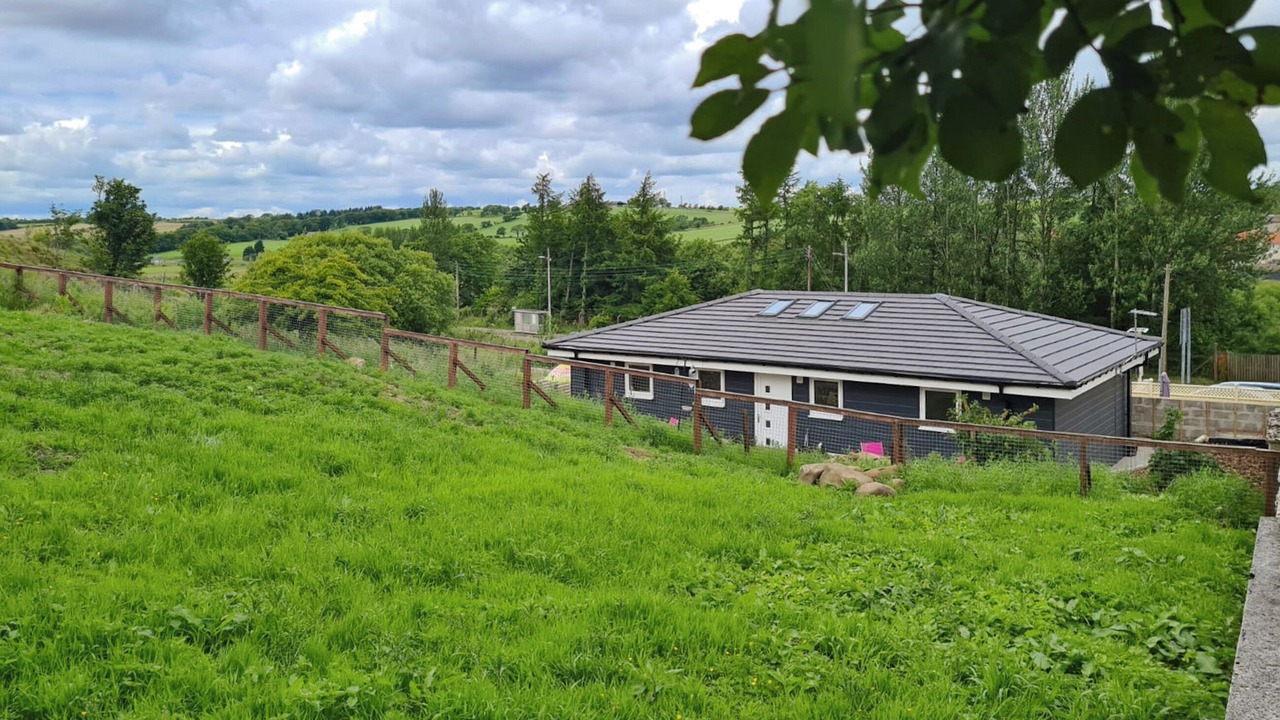 Photo of Outdoor in Caldercruix