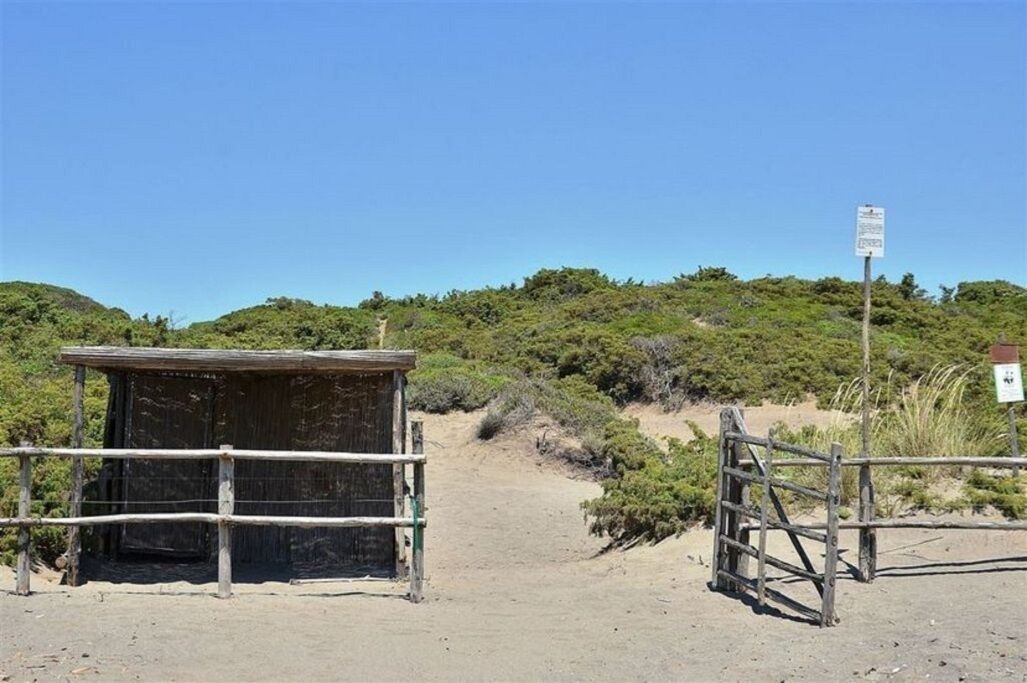 Photo of Outdoor in Capalbio