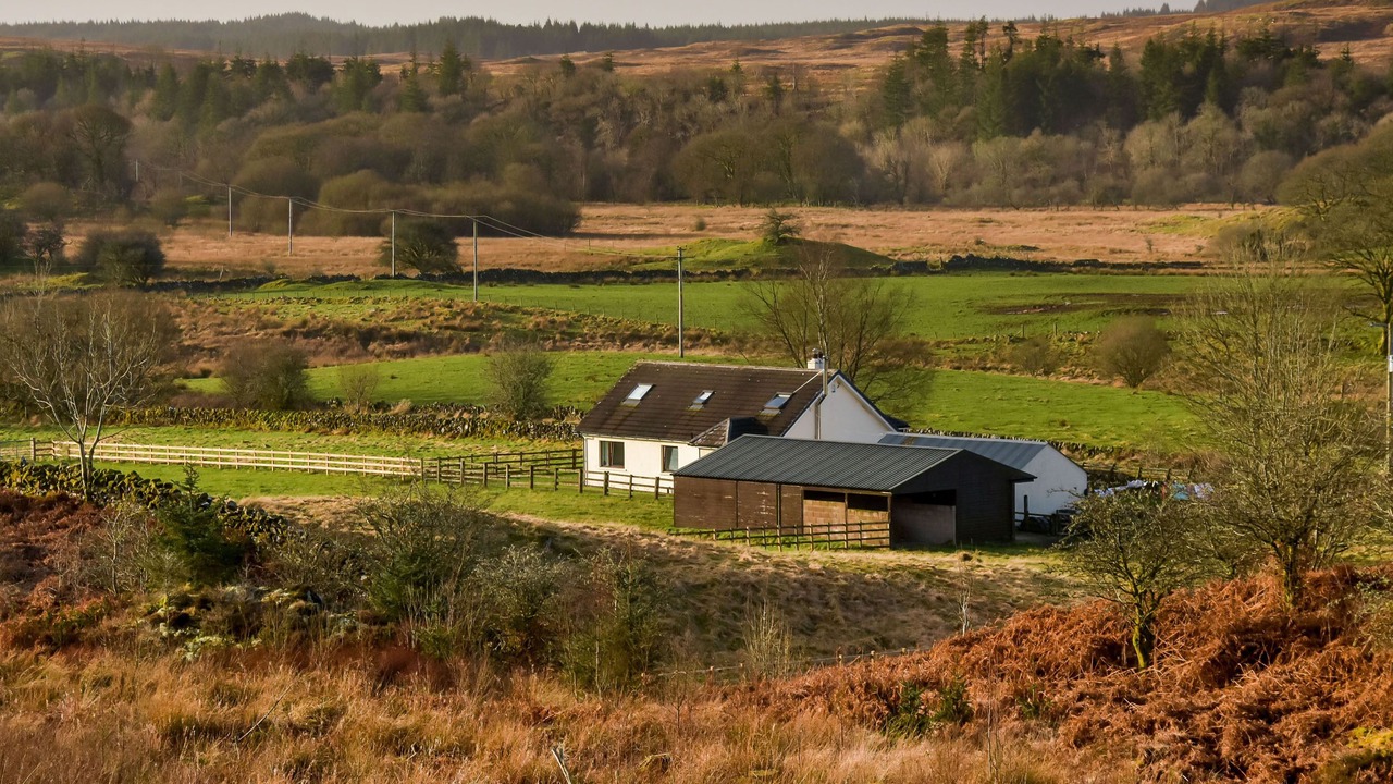 Photo of Outdoor in Galloway Forest Park