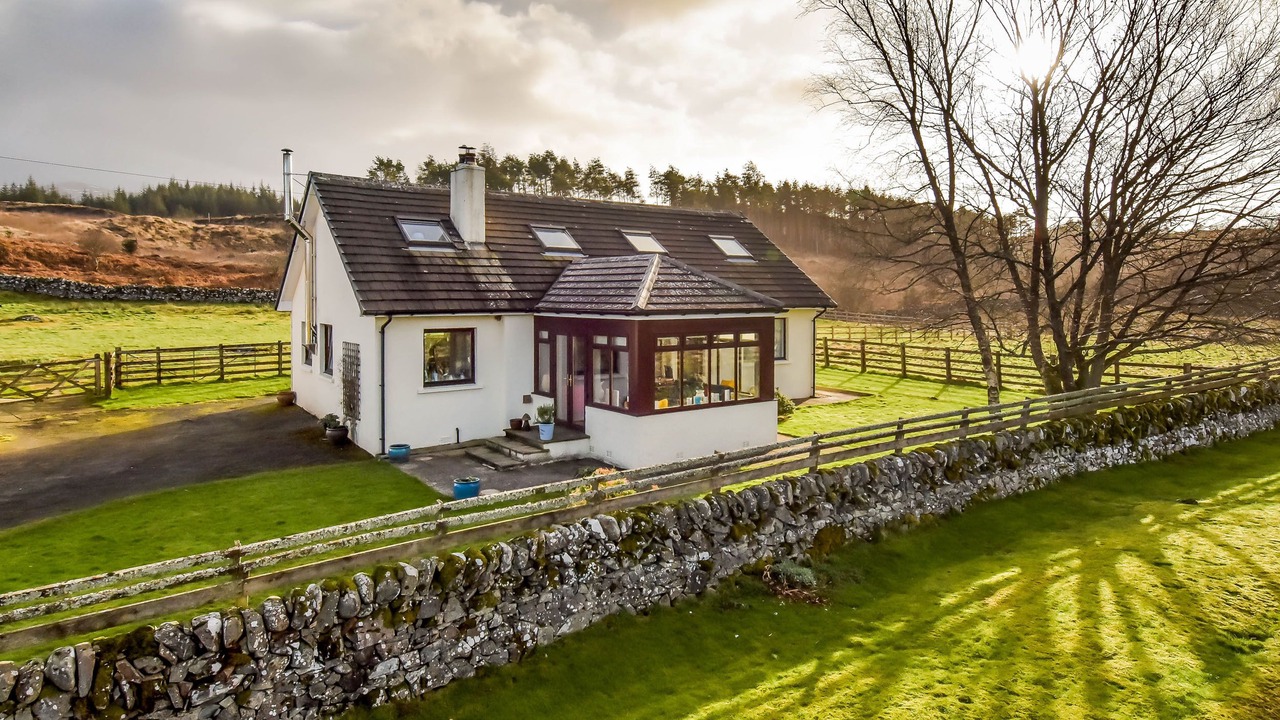 Photo of Outdoor in Galloway Forest Park