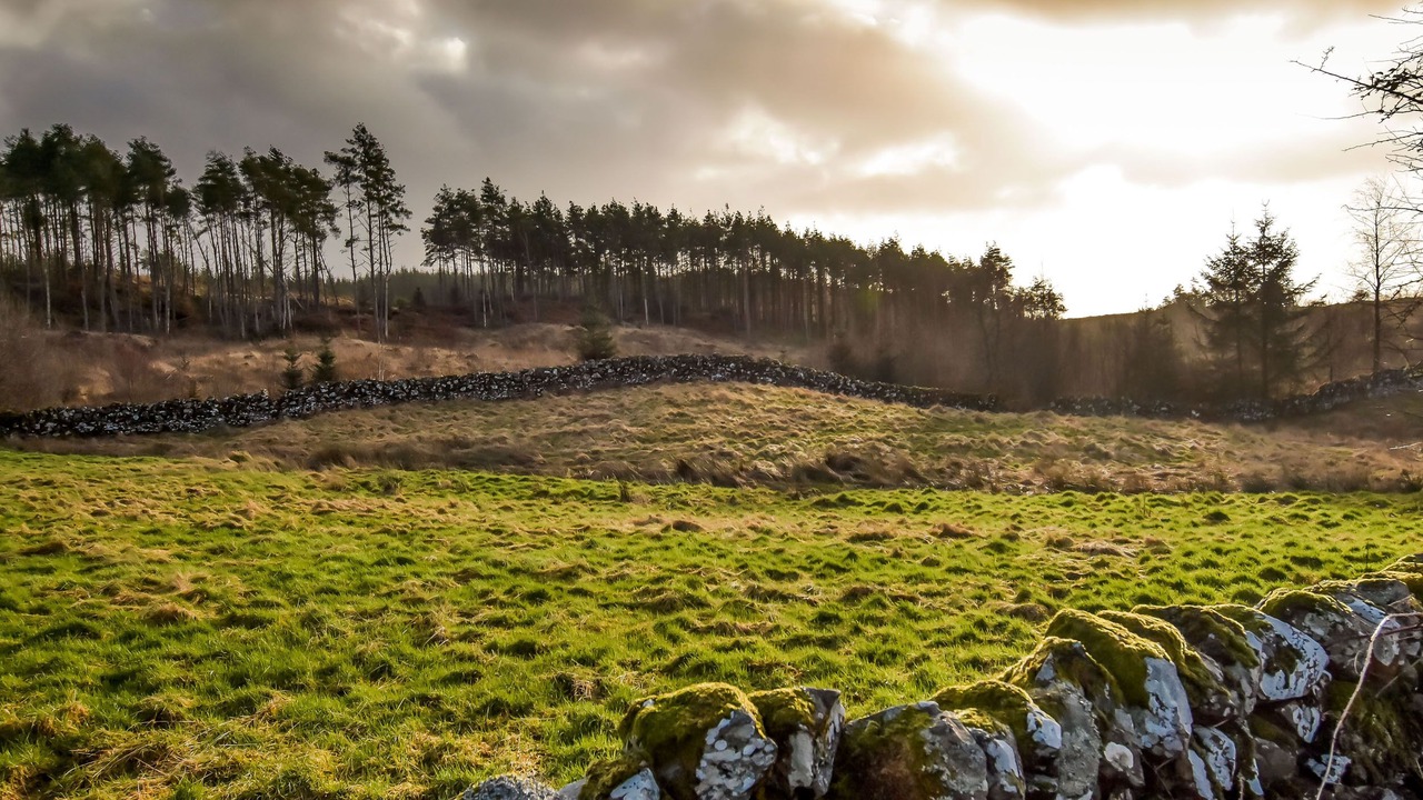 Photo of Outdoor in Galloway Forest Park