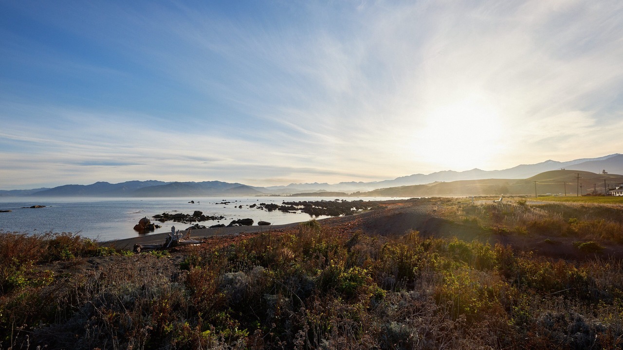 Photo of Others in South Bay