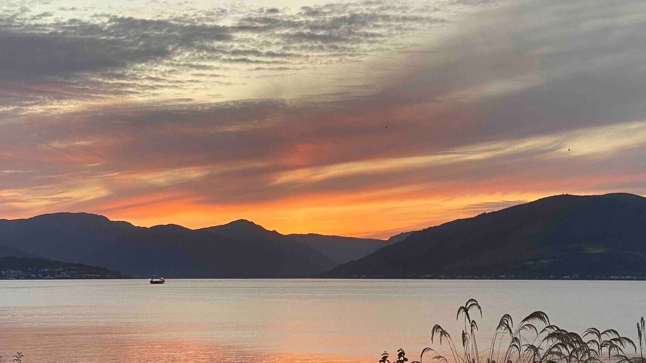 Photo of Others in Gourock