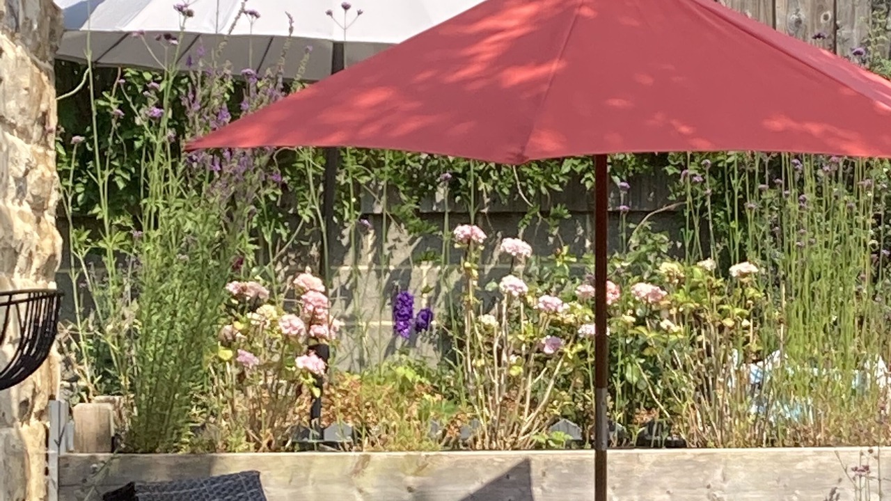 Photo of Outdoor in Briggswath
