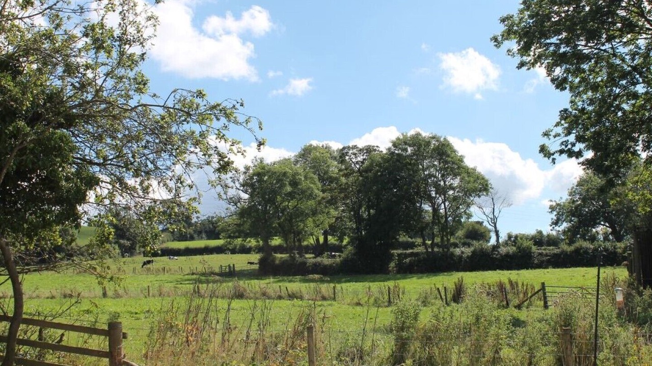 Photo of Outdoor in Briggswath