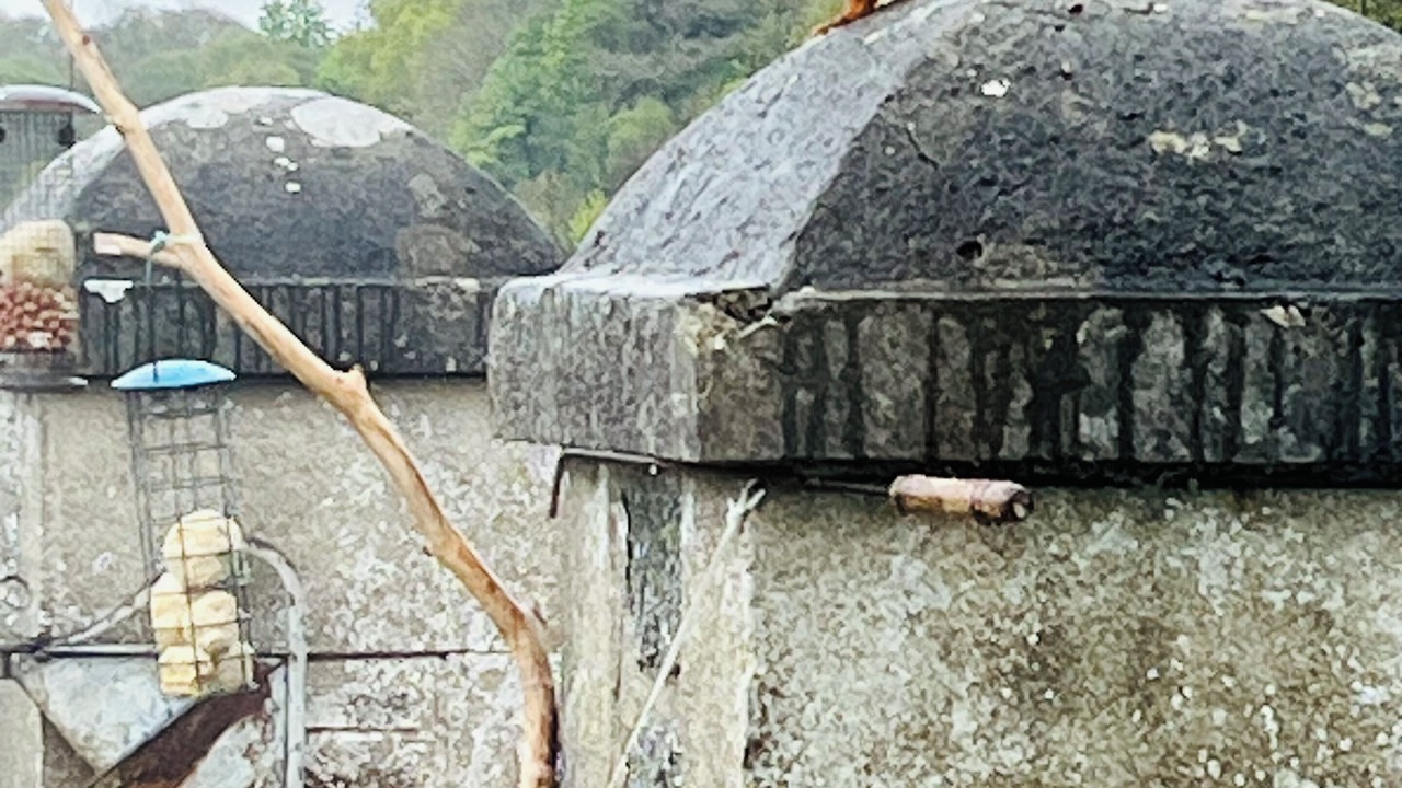 Photo of Others in Lochgilphead