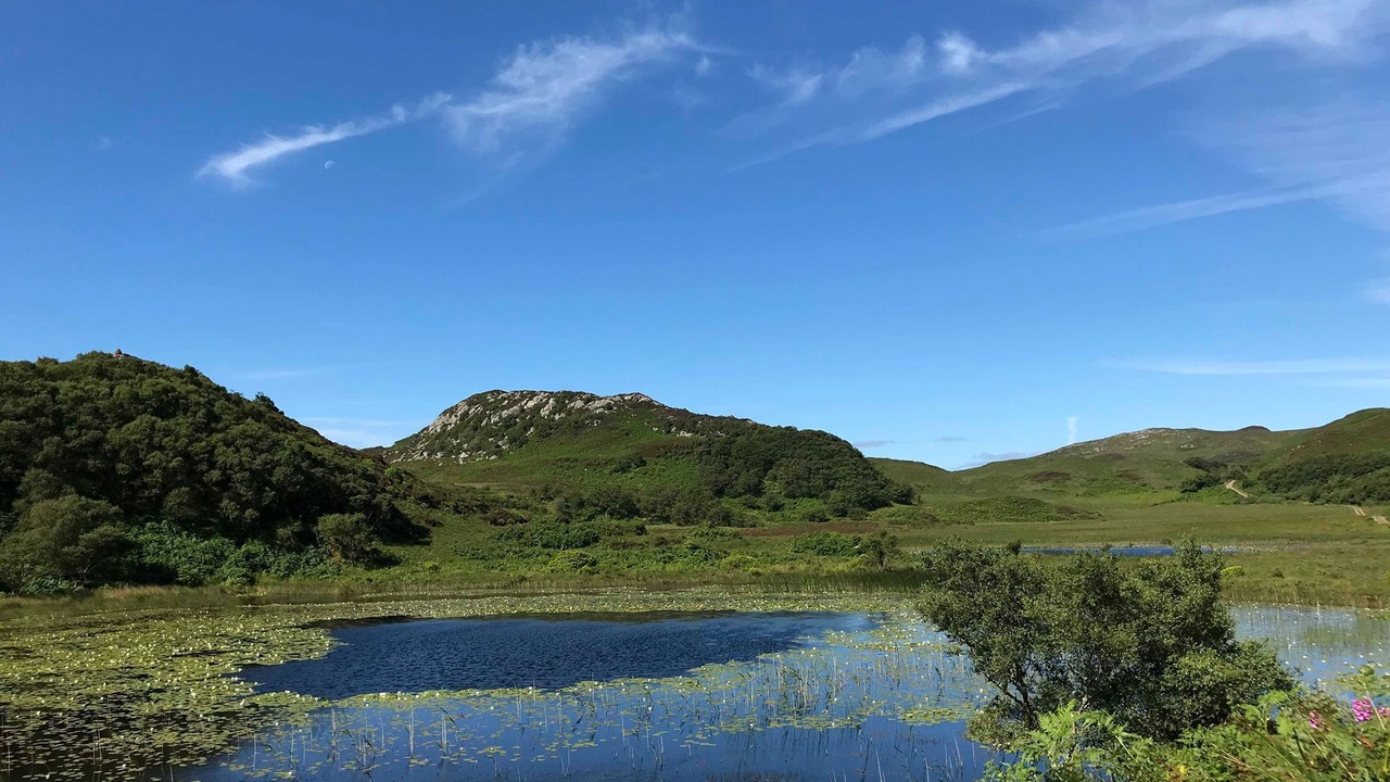 Photo of Others in Lochgilphead