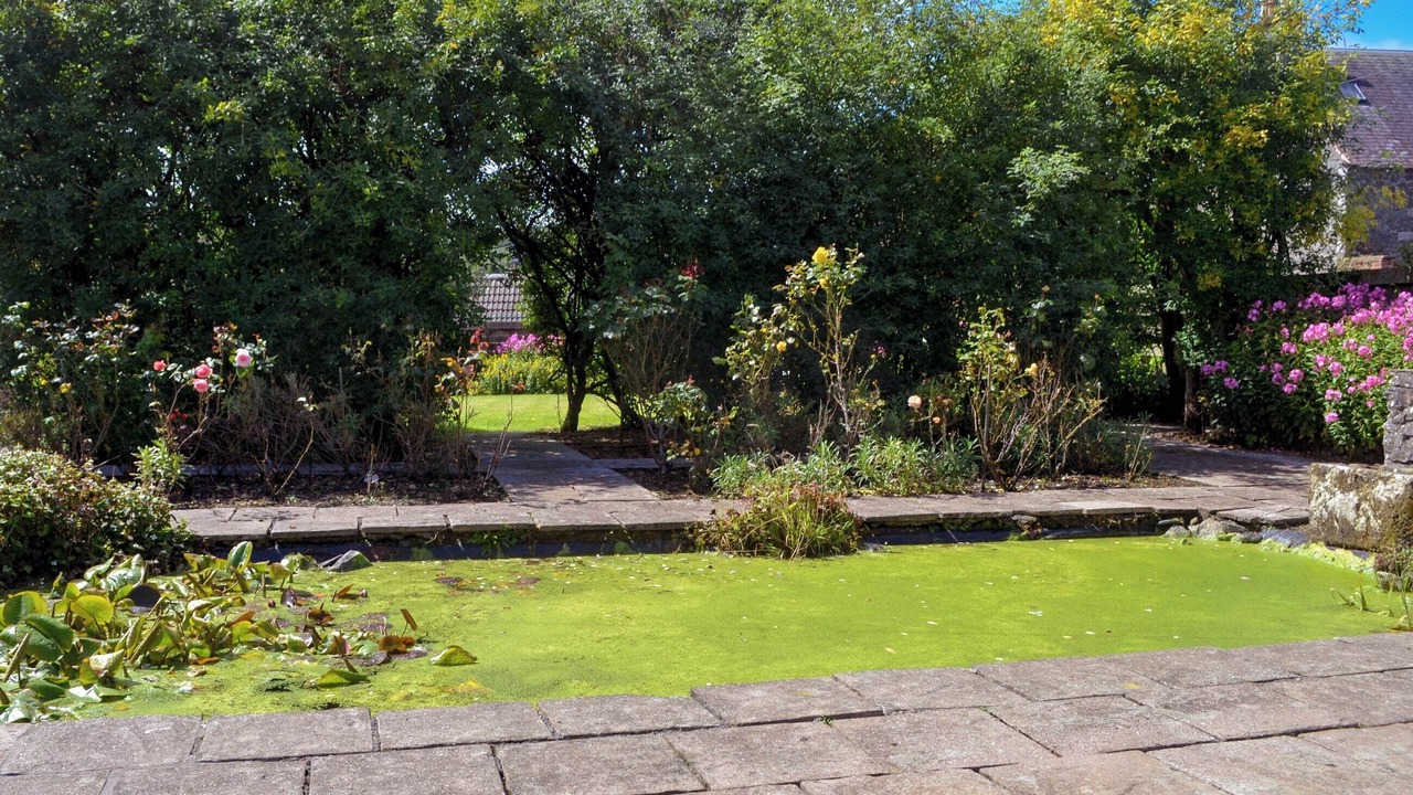 Photo of Outdoor in Newton Stewart