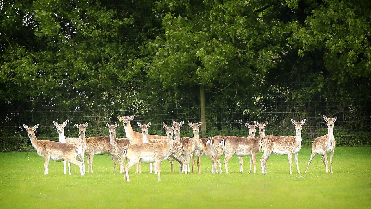 Photo of Others in Bury St Edmunds