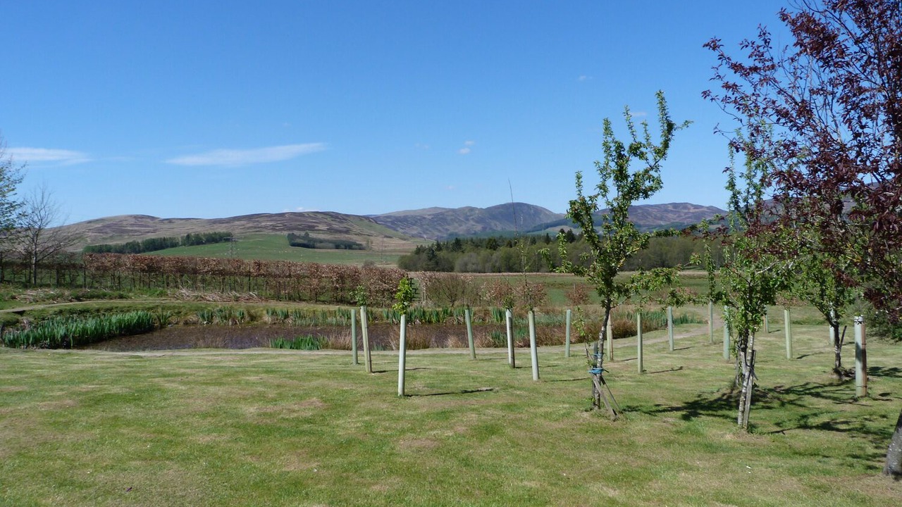 Photo of Outdoor in Buchanty