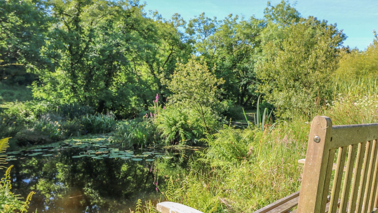 Photo of Outdoor in Mabe