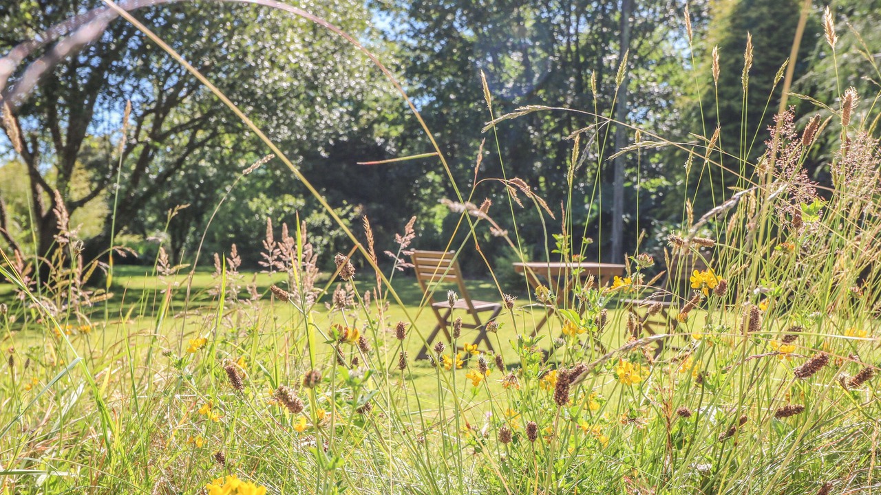 Photo of Outdoor in Mabe
