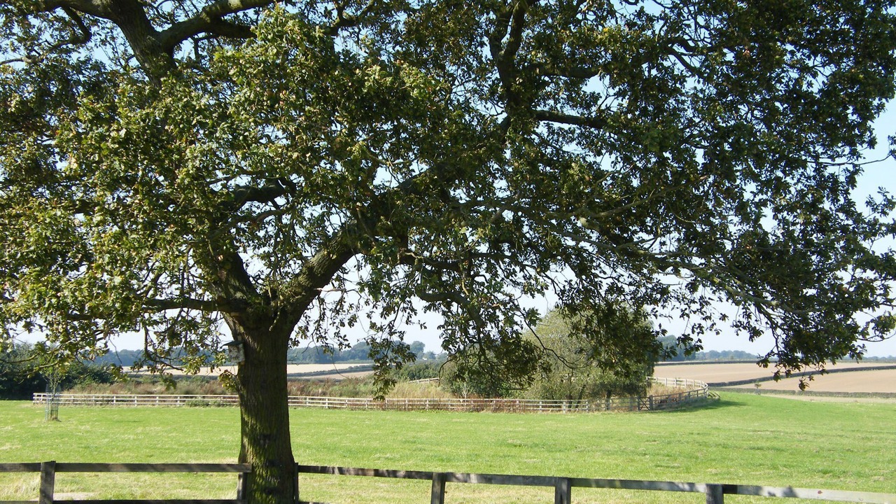 Photo of Others in Beverley