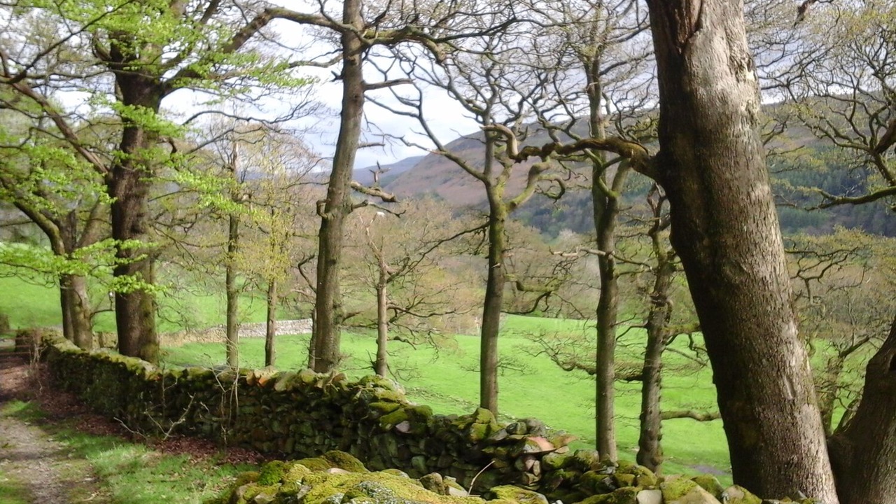 Photo of Outdoor in Sedbergh