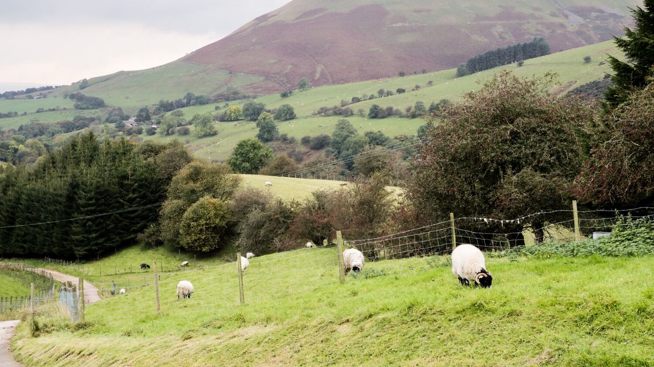 Photo of Outdoor in Sedbergh