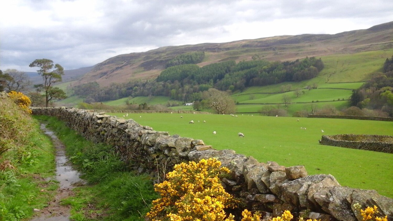 Photo of Others in Sedbergh