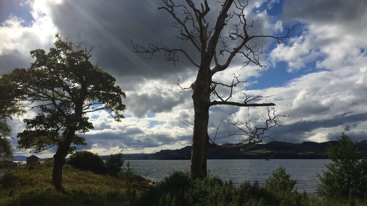 Photo of Others in Rashfield