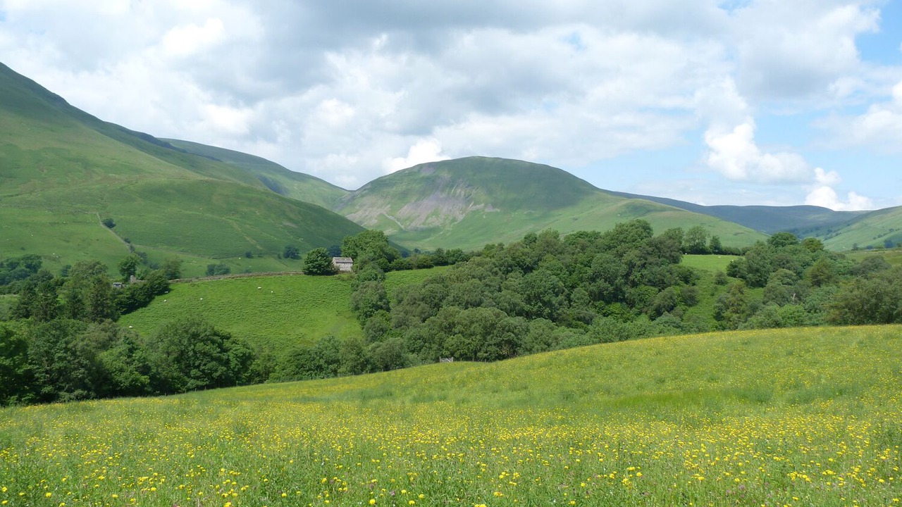Photo of Others in Sedbergh