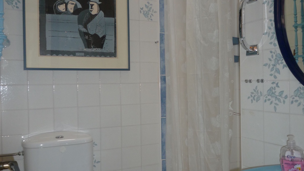 Photo of Bathroom in Empuriabrava