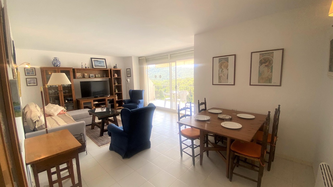 Photo of Livingroom in Tamariu