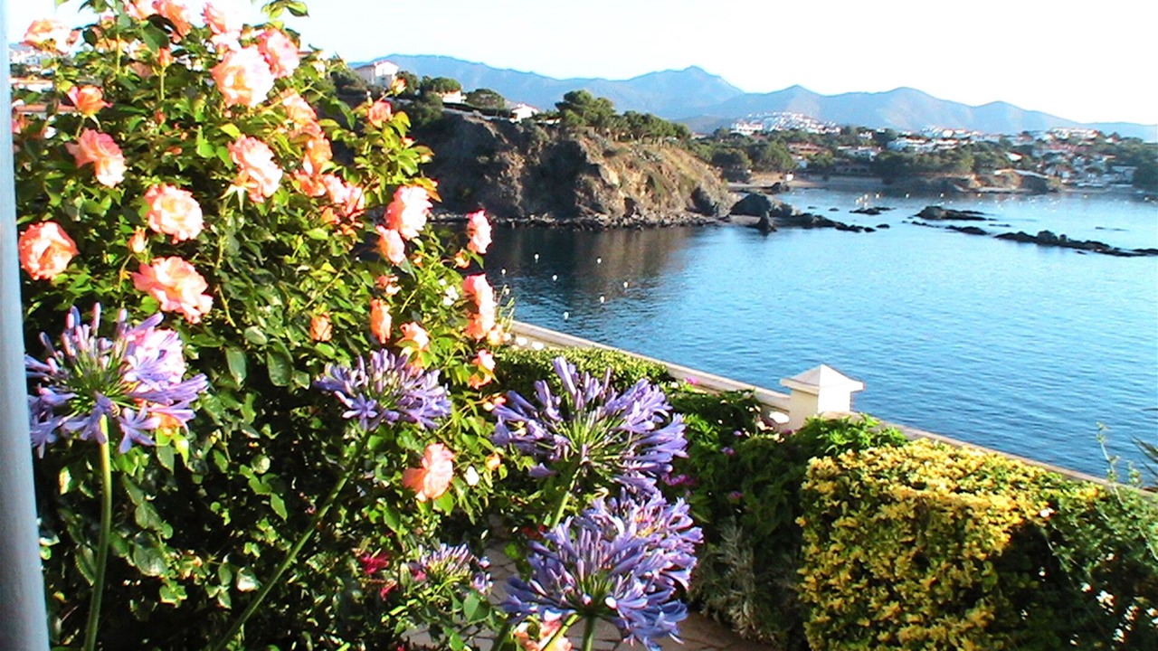 Photo of Outdoor in Llanca