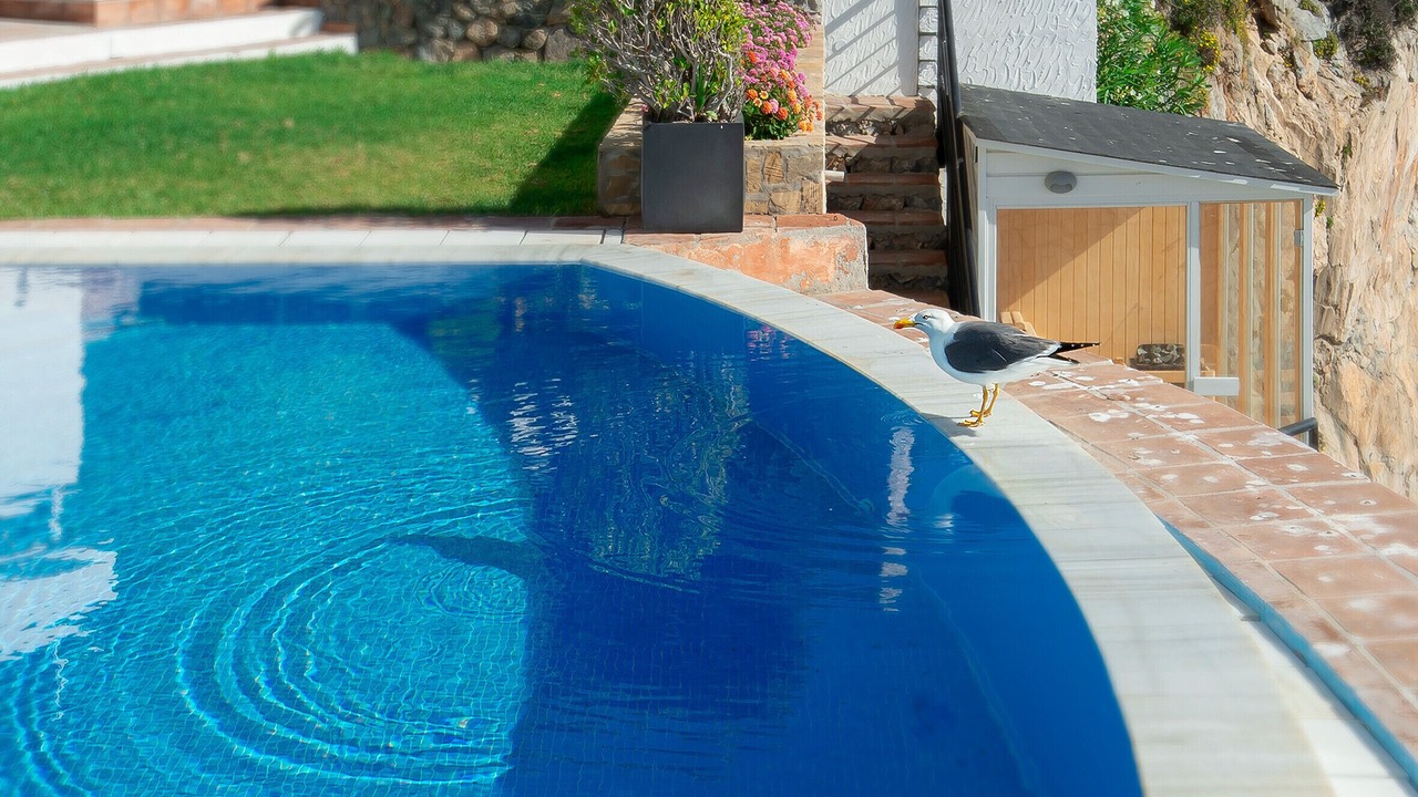 Photo of Outdoor in Almunecar