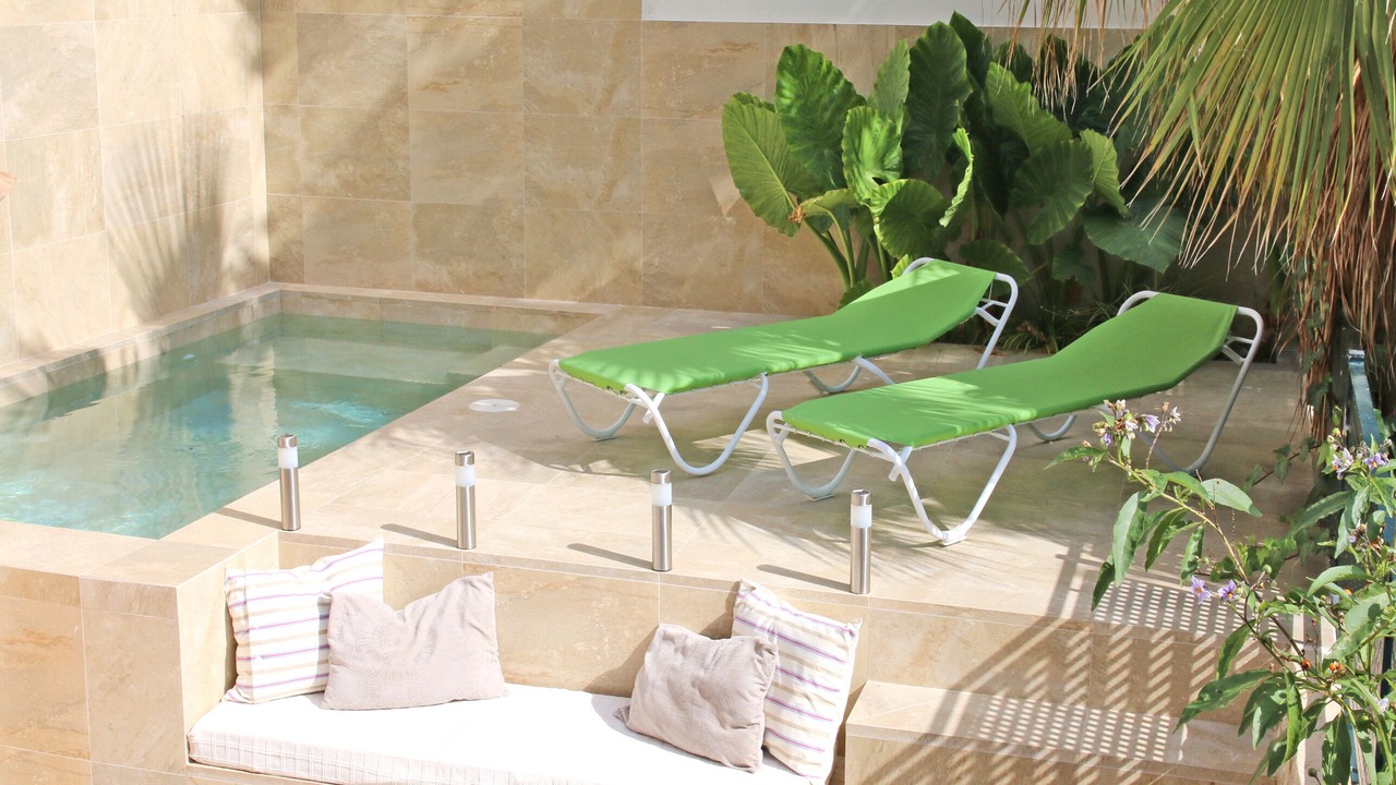 Photo of Outdoor in Selva