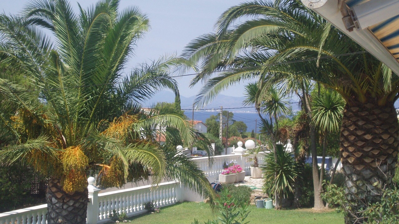 Photo of Others in L'Escala