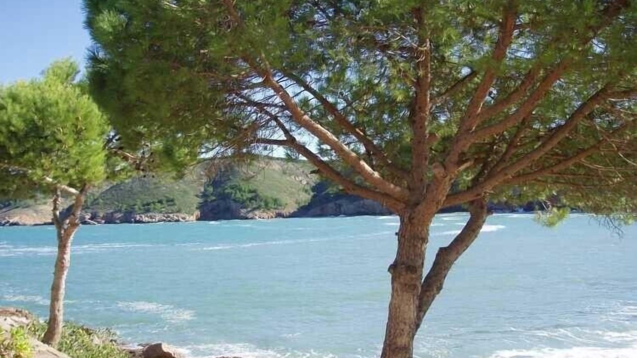 Photo of Others in L'Escala